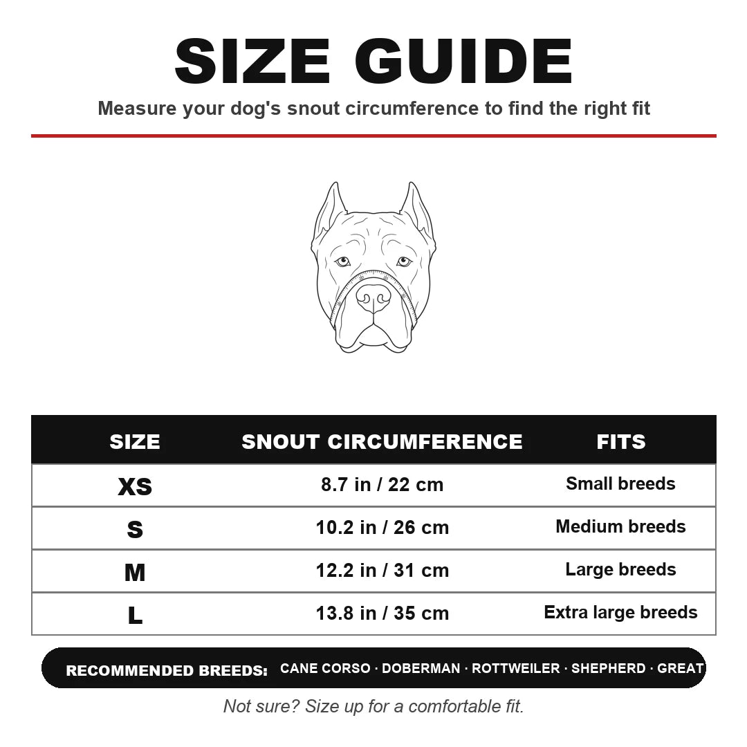 Silly Muzzle